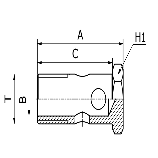 DOUBLE BANJO BOLT BSP